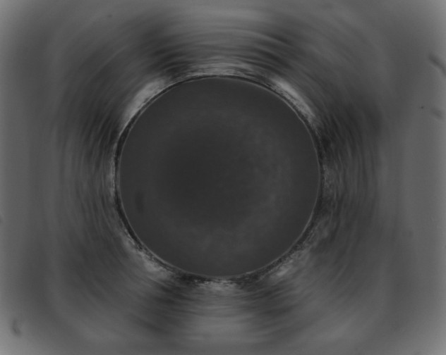 X0000093580994200710151141