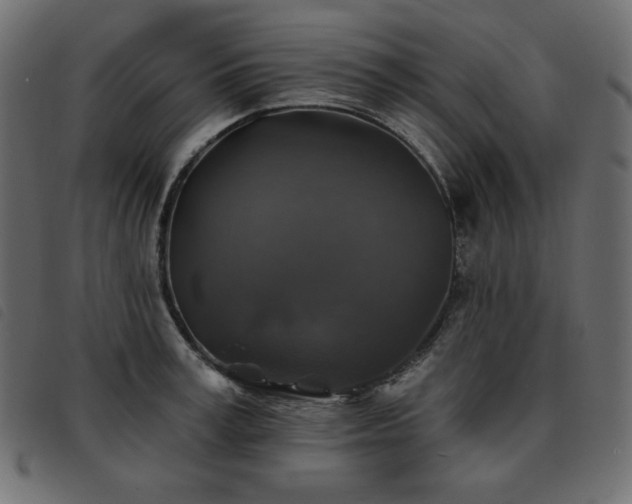 X0000093580995200710151141