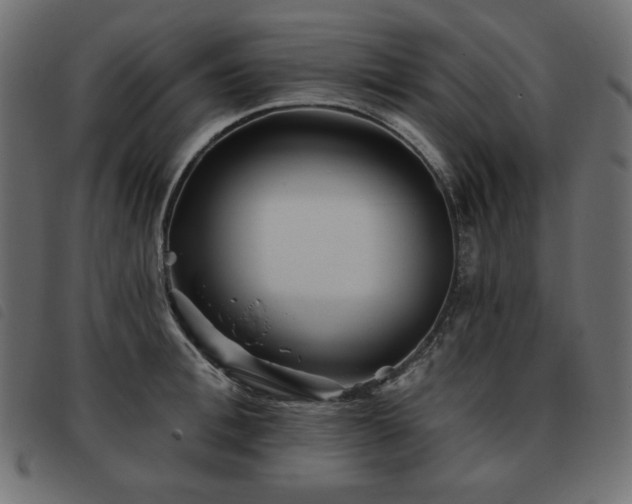 X0000093580996200710151141