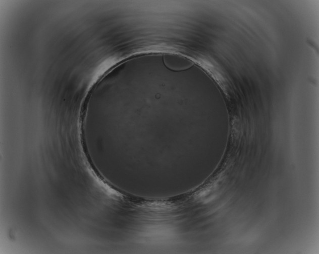 X0000093580998200710151141