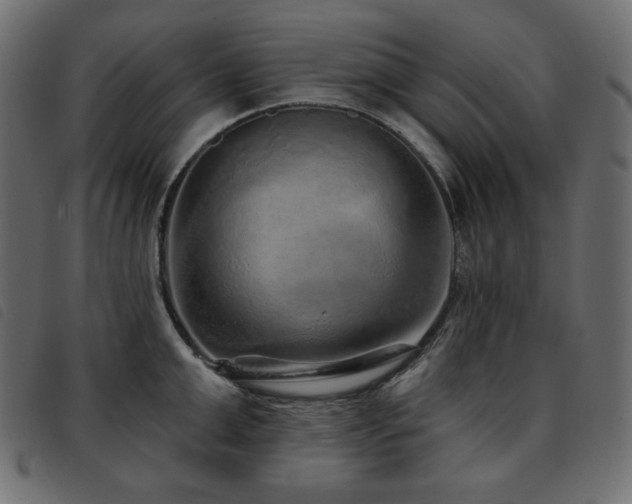 X0000093580999200710151141