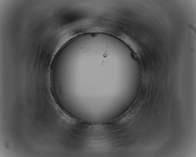 X0000093581000200710151141