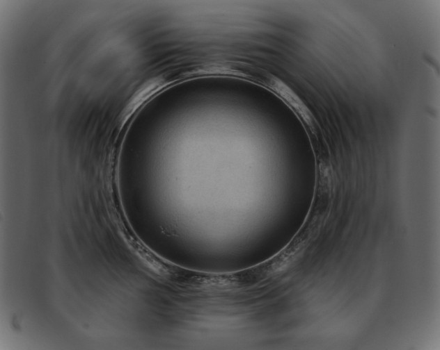 X0000093581002200710151141