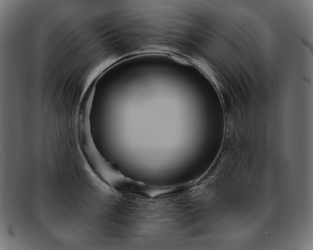 X0000093581003200710151141