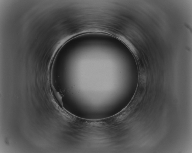 X0000093581004200710151141