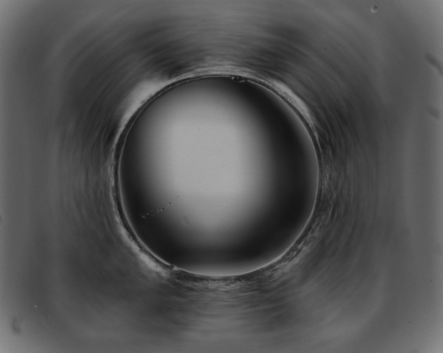 X0000093581005200710151141