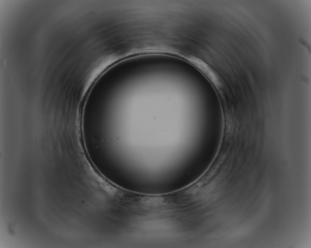 X0000093581006200710151141