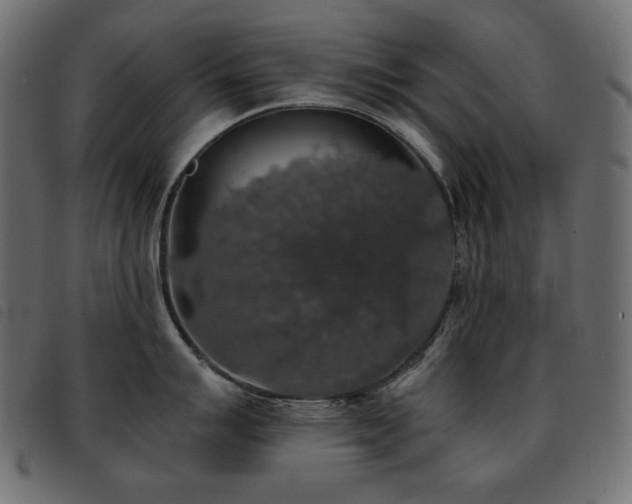 X0000093581007200710151141