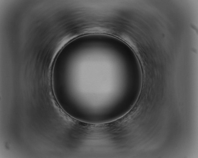 X0000093581008200710151141
