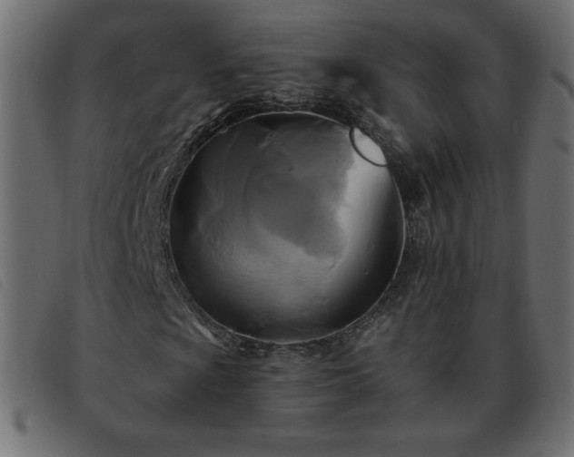 X0000093581009200710151141