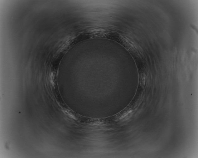 X0000093581010200710151141