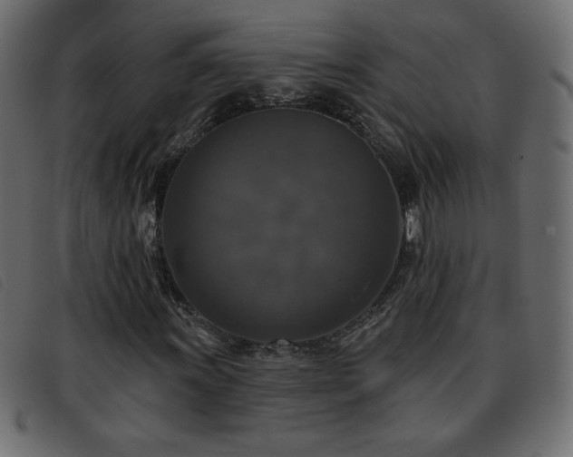 X0000093581011200710151141