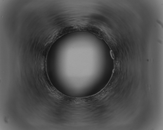 X0000093581012200710151141