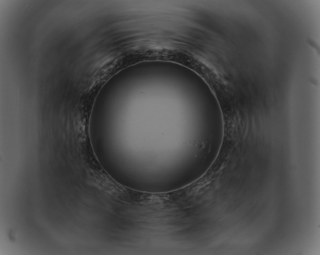 X0000093581013200710151141