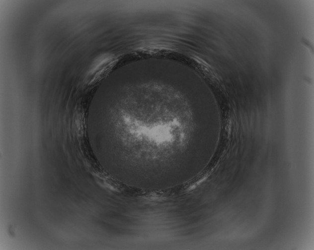 X0000093581014200710151141