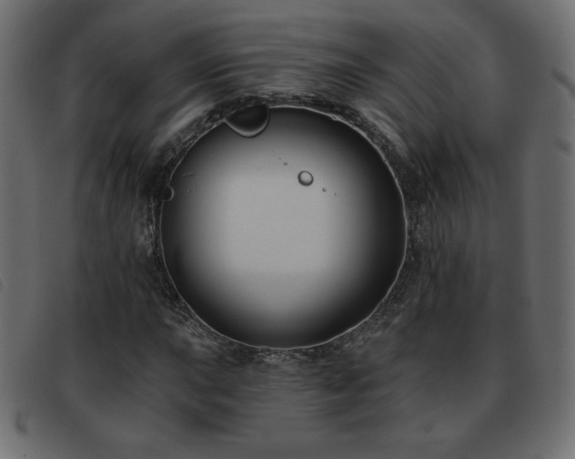 X0000093581015200710151141