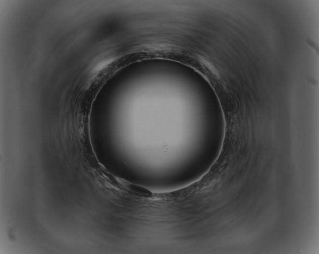 X0000093581016200710151141