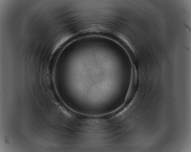 X0000093581018200710151141