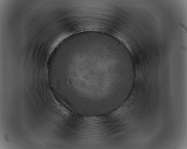 X0000093581019200710151141