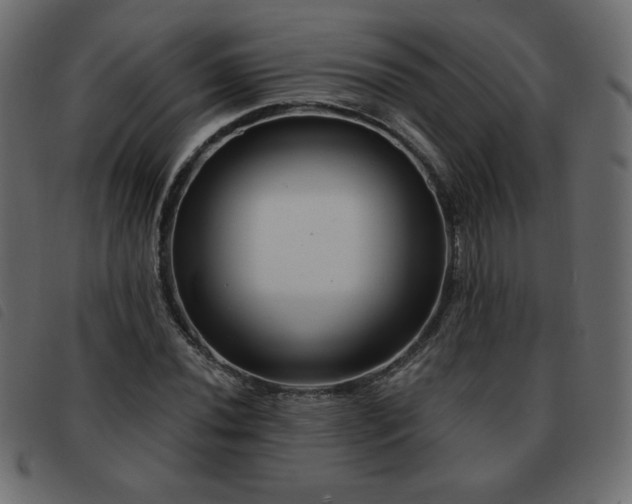 X0000093581020200710151141
