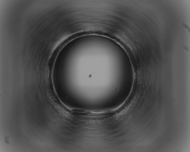 X0000093581021200710151141