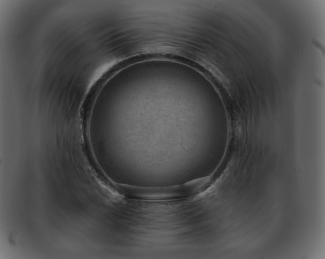 X0000093581022200710151141