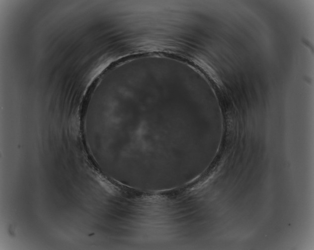 X0000093581023200710151141