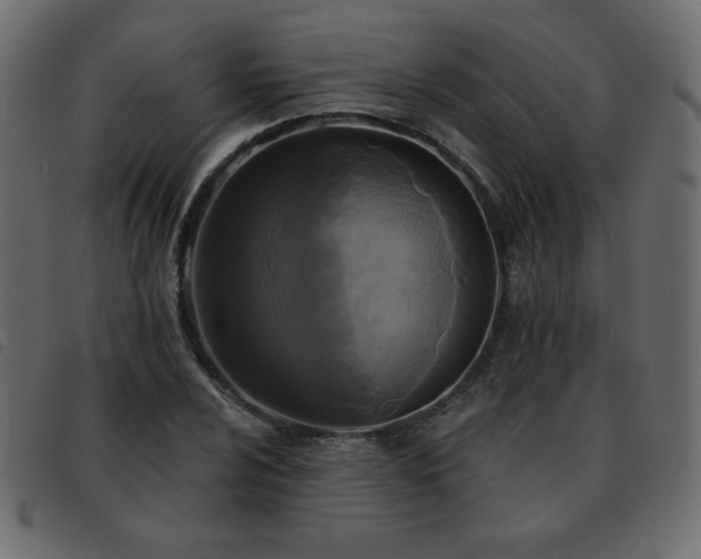 X0000093581024200710151141