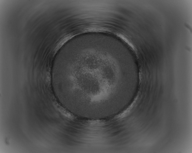 X0000093581025200710151141