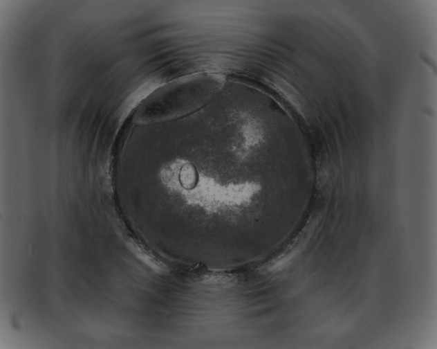 X0000093581026200710151141