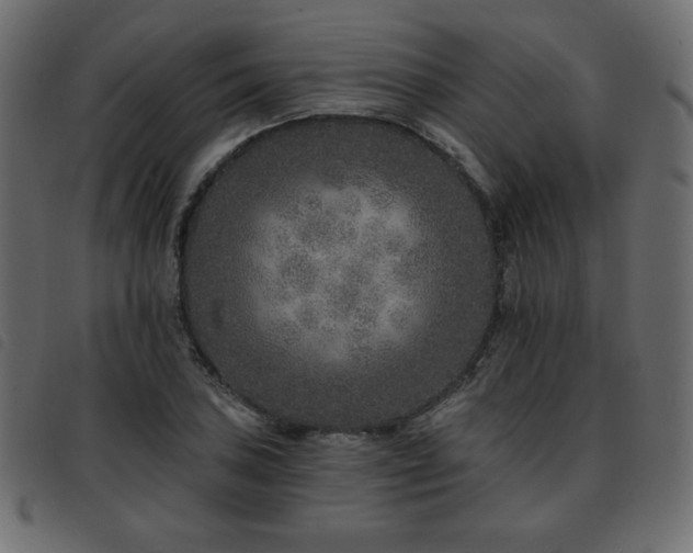 X0000093581027200710151141
