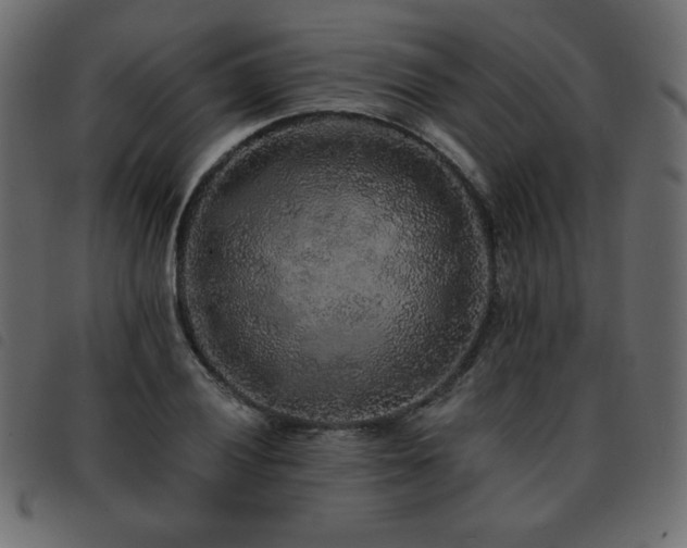 X0000093581028200710151141