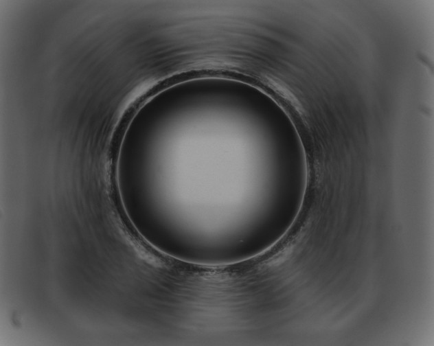 X0000093581029200710151141