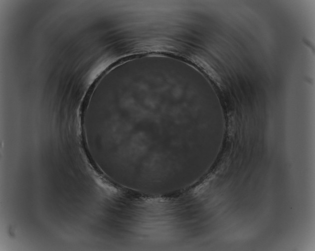 X0000093581031200710151141