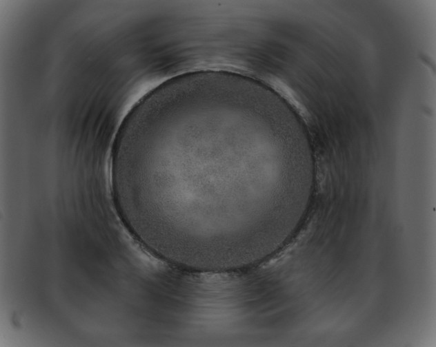 X0000093581032200710151141