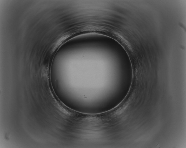 X0000093581033200710151141