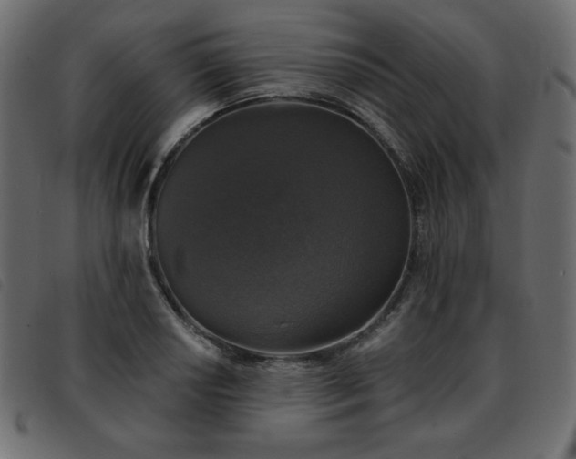 X0000093581034200710151141