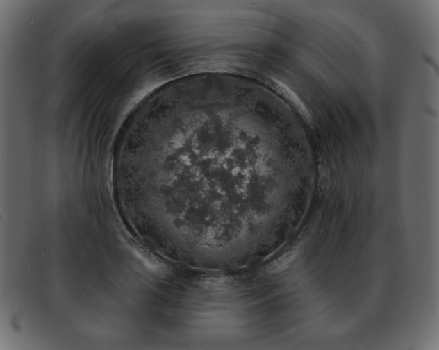 X0000093581035200710151141