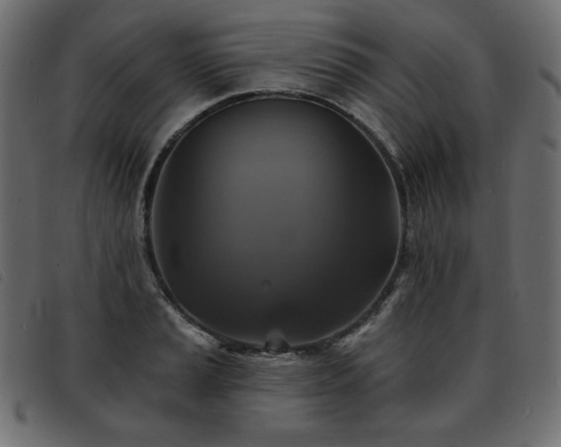 X0000093581037200710151141