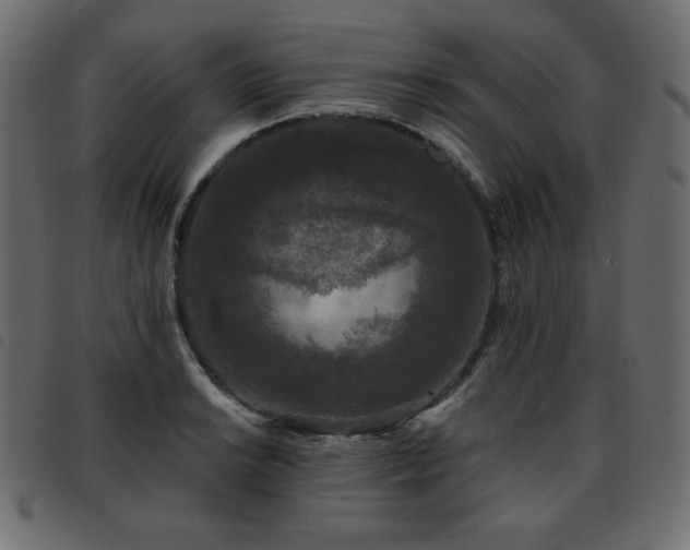 X0000093581038200710151141