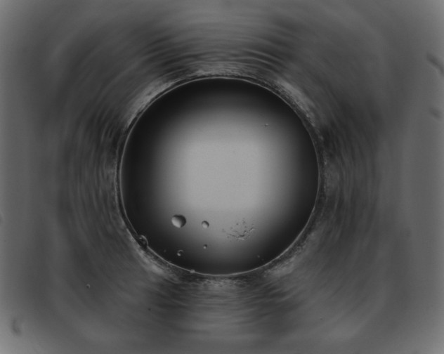 X0000093581041200710151141