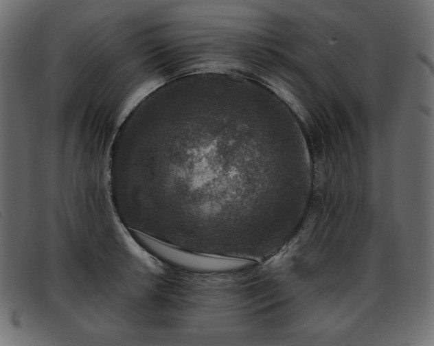 X0000093581042200710151141