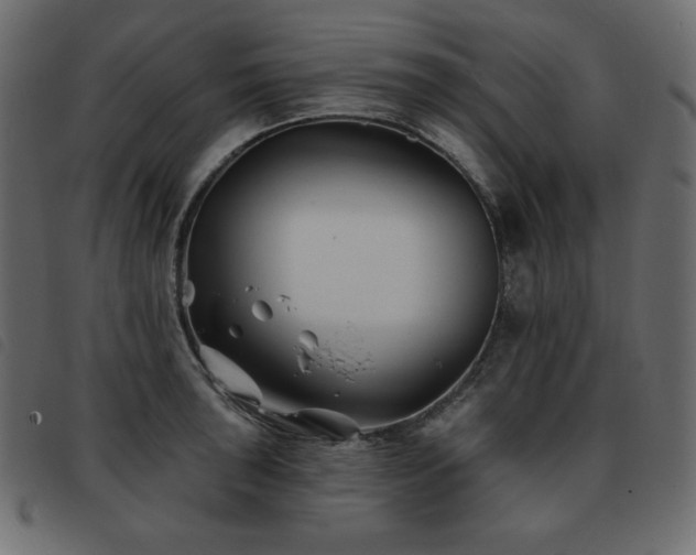 X0000093581043200710151141