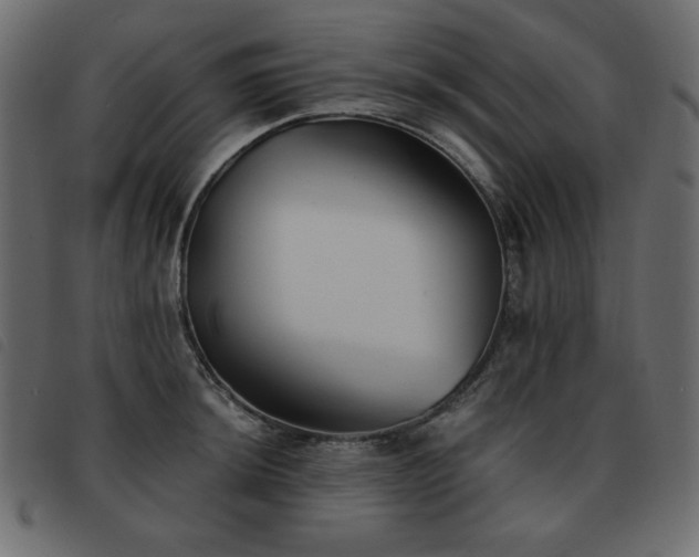 X0000093581044200710151141