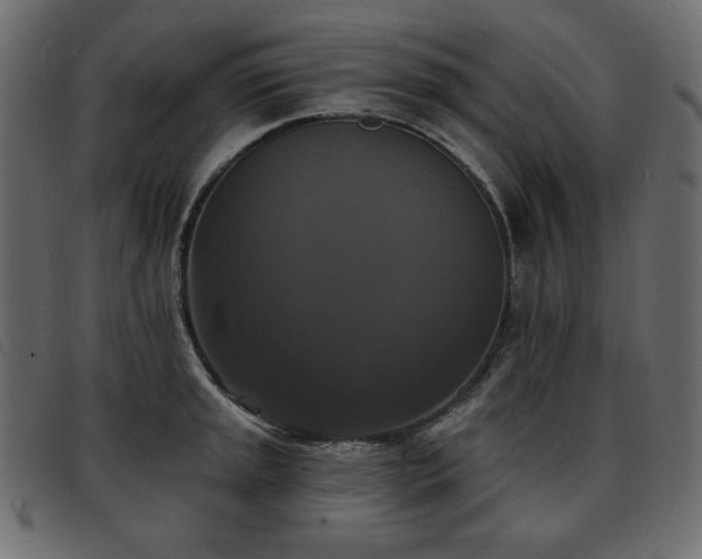 X0000093581045200710151141