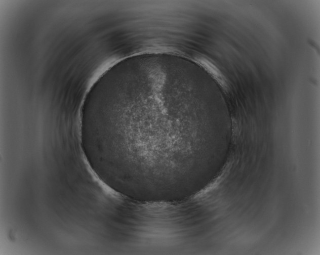 X0000093581046200710151141