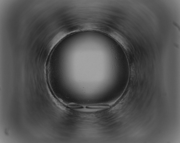 X0000093581047200710151141