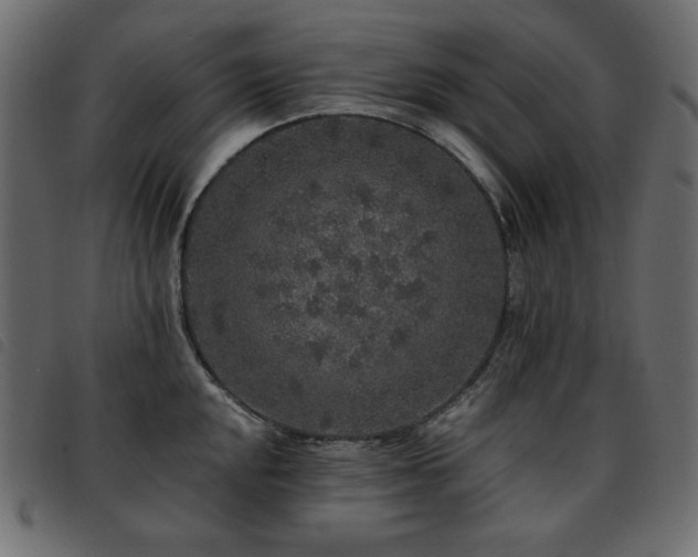 X0000093581048200710151141