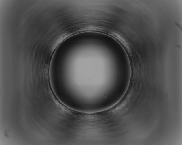 X0000093581049200710151141