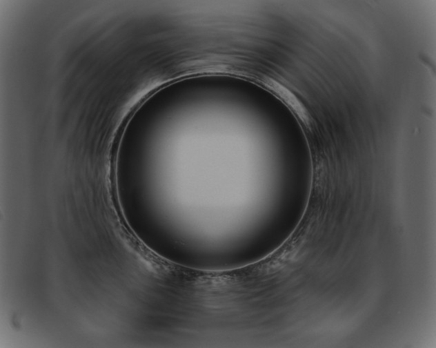 X0000093581051200710151141